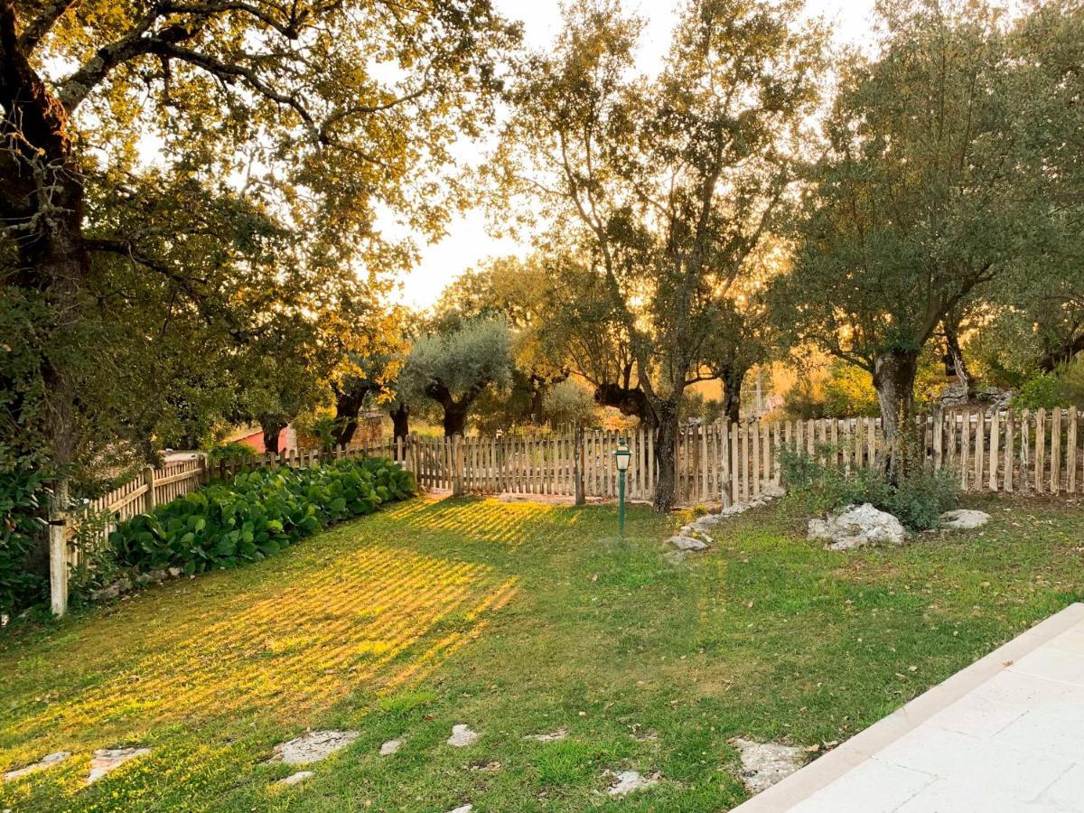 Casal Frias Villa Barreira  Екстериор снимка